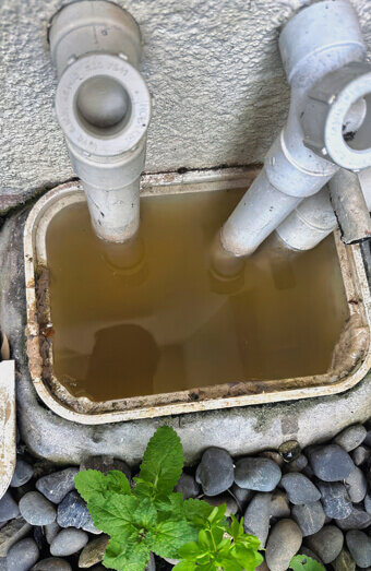 https://coogeeblockeddrains.com.au/uploads/2025/07/blocked-drains-82500.jpg