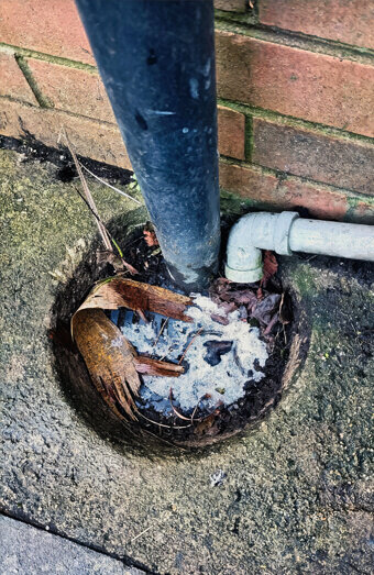 https://coogeeblockeddrains.com.au/uploads/2025/07/blocked-drains-90695.jpg