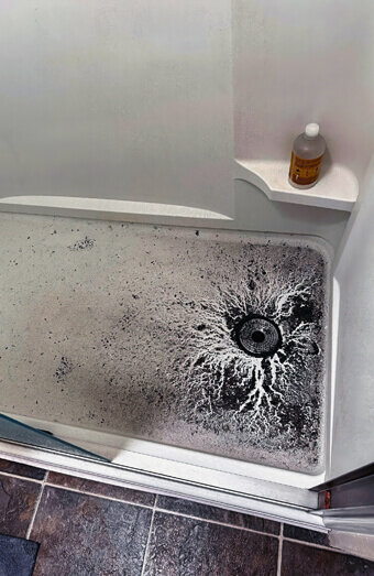 https://coogeeblockeddrains.com.au/uploads/2025/07/blocked-shower-drains-83587.jpg