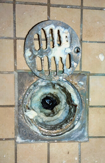 https://coogeeblockeddrains.com.au/uploads/2025/07/blocked-shower-drains-86331.jpg