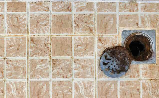 https://coogeeblockeddrains.com.au/uploads/2025/07/blocked-shower-drains-91576.jpg