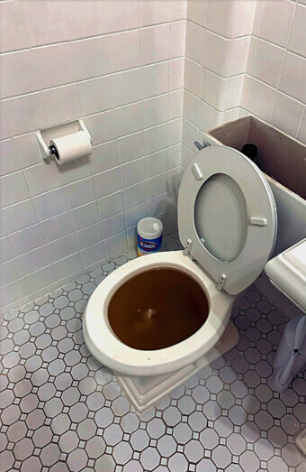 https://coogeeblockeddrains.com.au/uploads/2025/07/blocked-toilet-99184.jpg