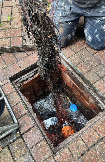 https://coogeeblockeddrains.com.au/uploads/2025/07/hero-blocked-sewers-68349.jpg