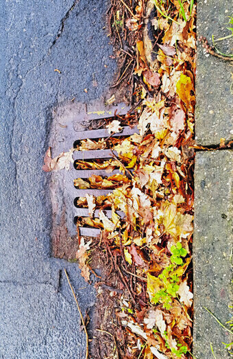 https://coogeeblockeddrains.com.au/uploads/2025/07/stormwater-drains-48051.jpg